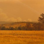img_2700_11
