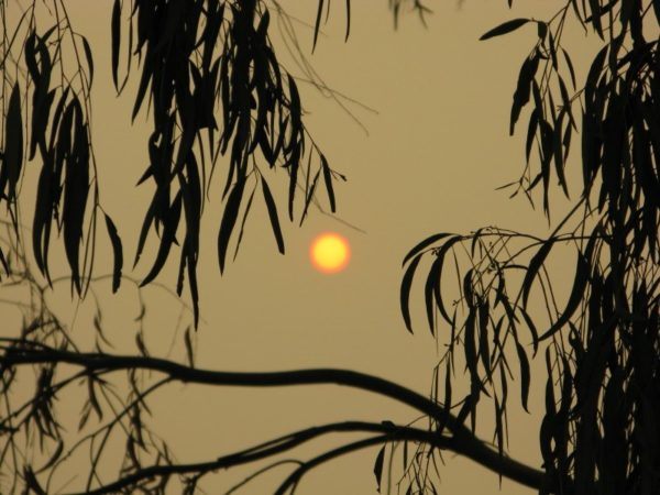 img_2739_1