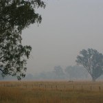img_2807_11