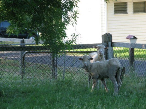 IMG_3856_2 IMG_3856_2